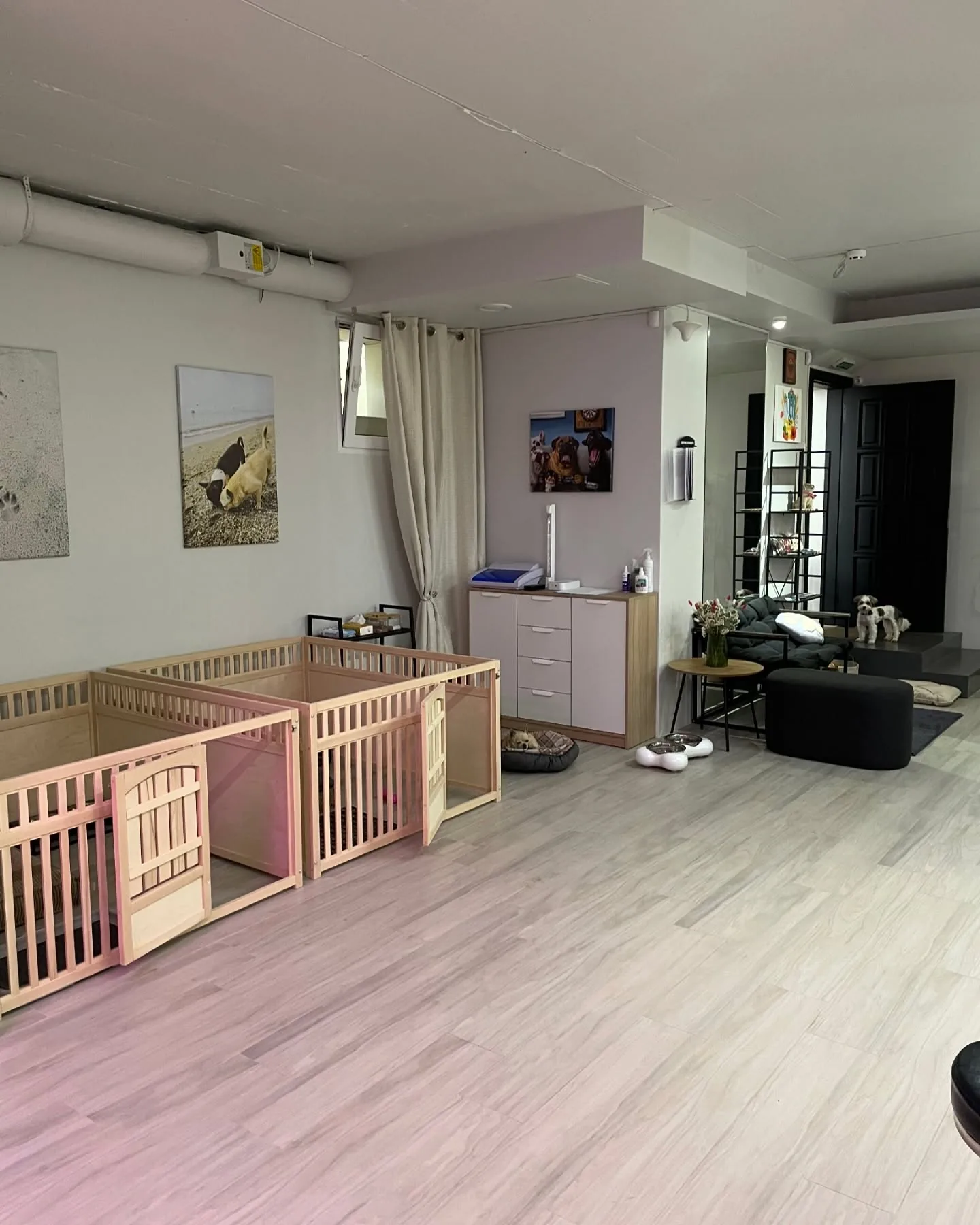 Зона відпочинку у зооготелі Little Paw